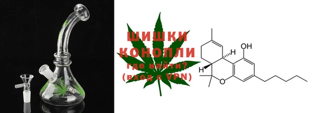 PSILOCYBIN Вяземский