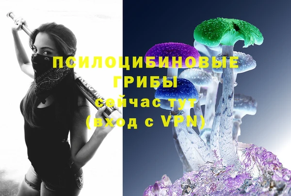 сатива Вязьма