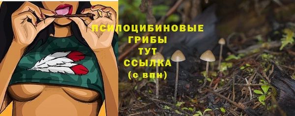 Альфа ПВП Горно-Алтайск