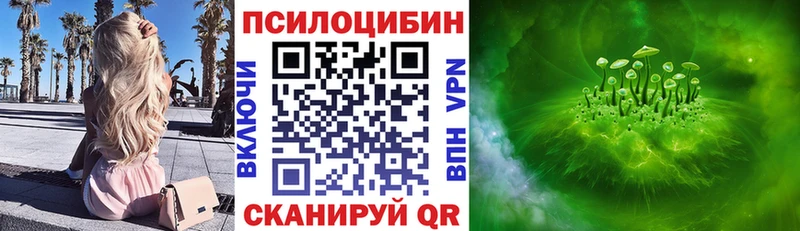купить наркотики цена  Димитровград  Галлюциногенные грибы GOLDEN TEACHER 