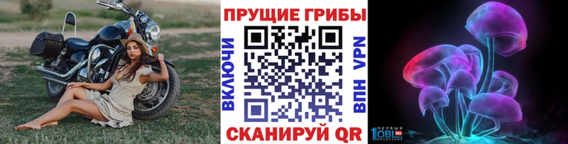 Галлюциногенные грибы ЛСД Димитровград
